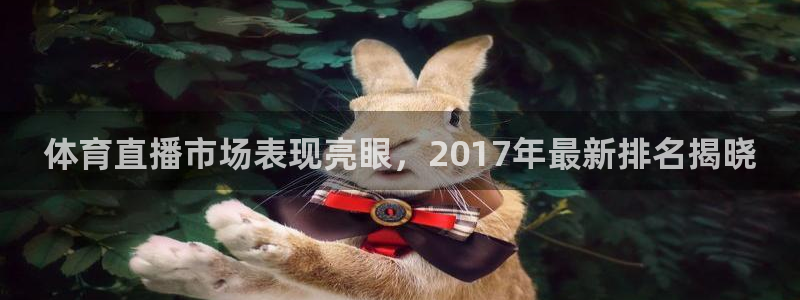 24直播体育免费直播：体育直播市场表现亮眼，2017年最新排名揭晓