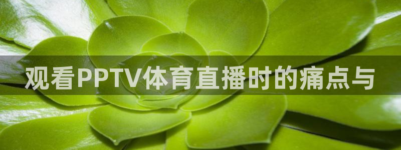 24直播视频：观看PPTV体育直播时的痛点与