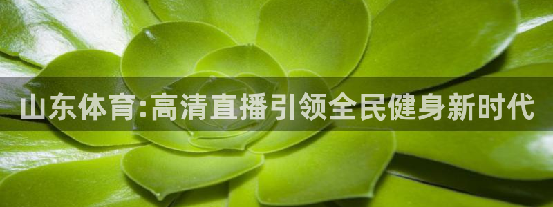 nba在线直播免费观看直播24直播网：山东体育:高清直播引领全民健身新时代