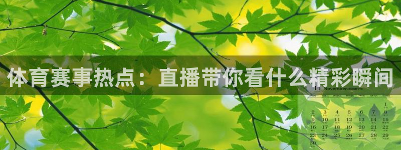 nba 24直播：体育赛事热点：直播带你看什么精彩瞬间