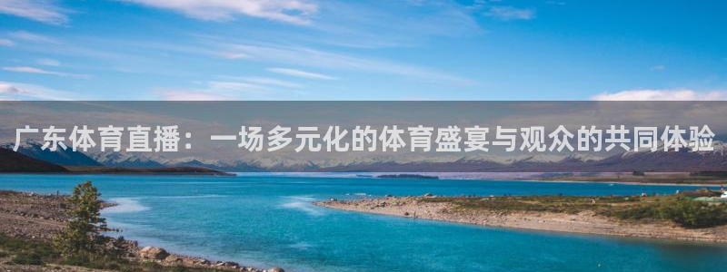24直播nba免费观看：广东体育直播：一场多元化的体育盛宴与观众的共同体验