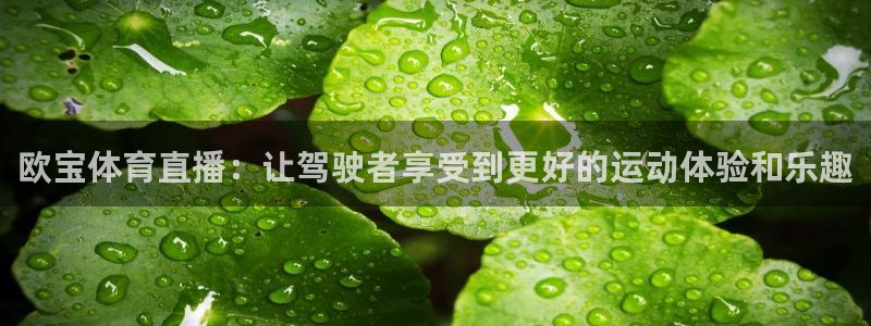 足球24直播网：欧宝体育直播：让驾驶者享受到更好的运动体验和乐趣
