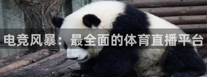 24直播网中超：电竞风暴：最全面的体育直播平台