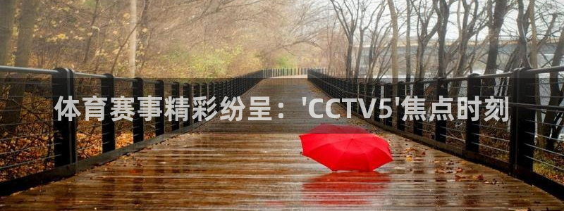 24直播网下载