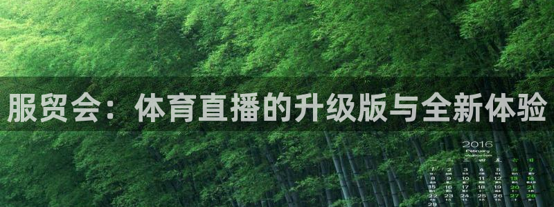 24直播足球在线直播：服贸会：体育直播的升级版与全新体验