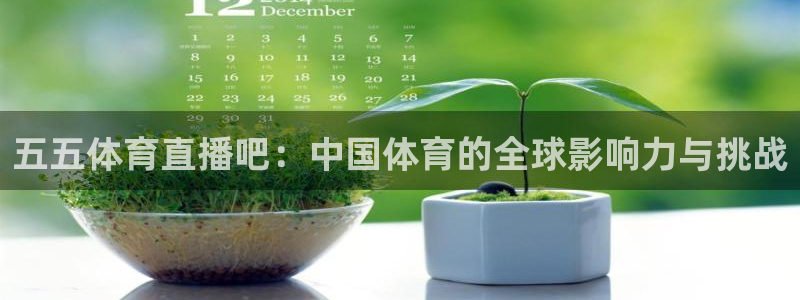 足球比赛直播24直播网：五五体育直播吧：中国体育的全球影响力与挑战